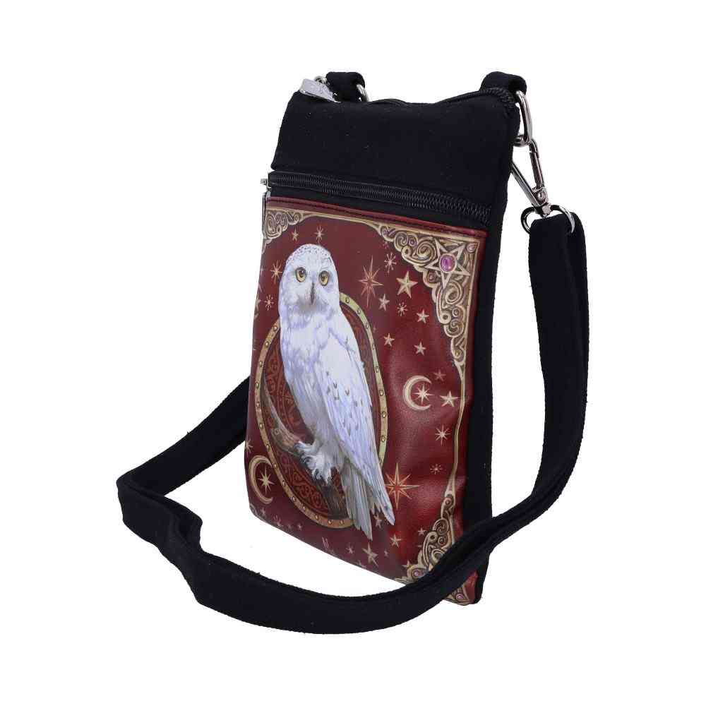 Nemesis Now - Magical Flight 23cm Shoulder bag - Multicolours